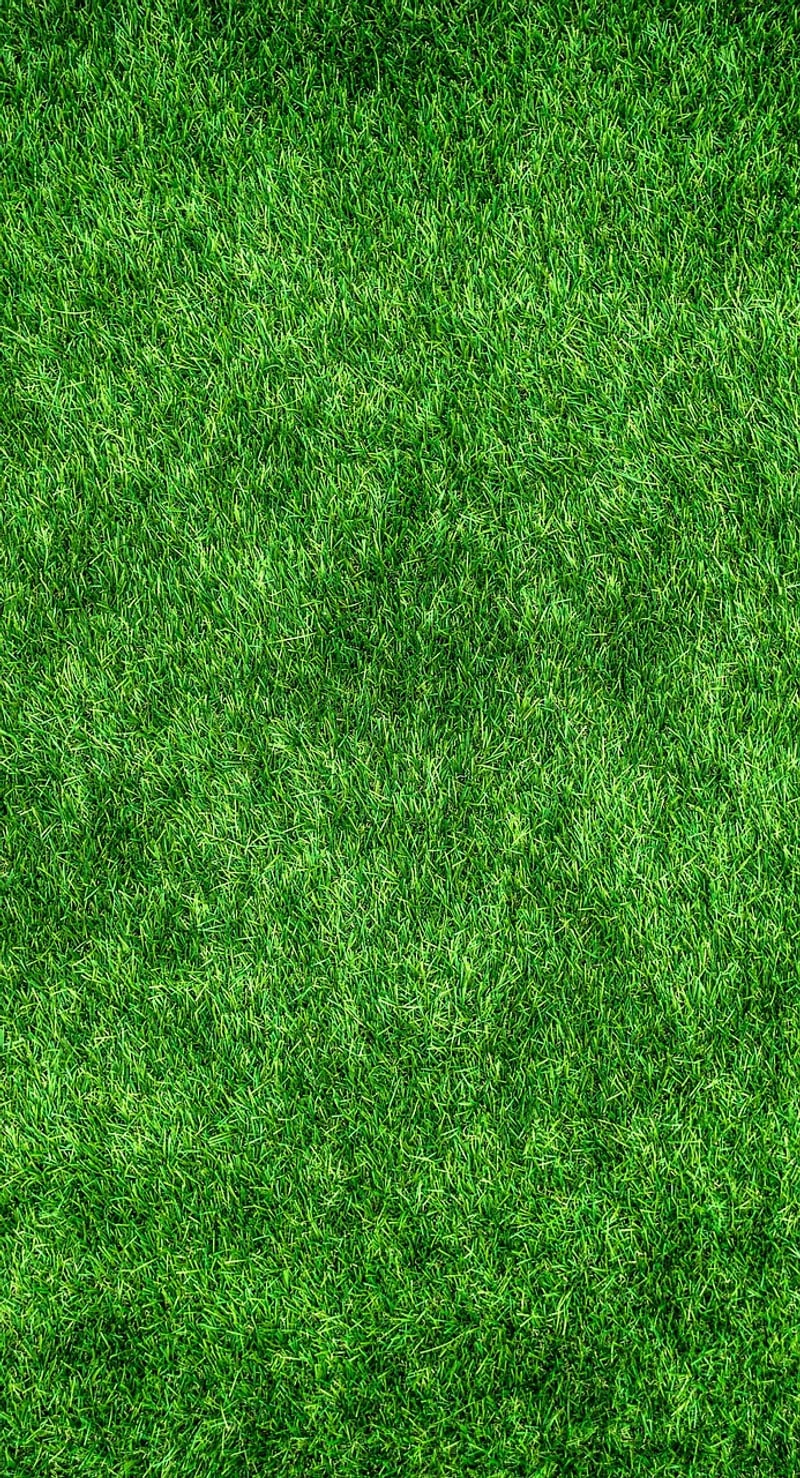 Tips for Eco-friendly Crafting